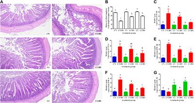 Protective Effects of 1,8-Cineole Microcapsules Against Inflammation and Gut Microbiota Imbalance Associated Weight Loss Induced by Heat Stress in Broiler Chicken